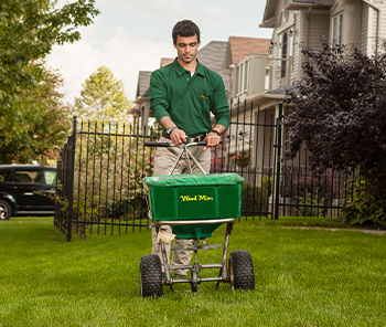Technicien Weed Man qui fertilise une pelouse